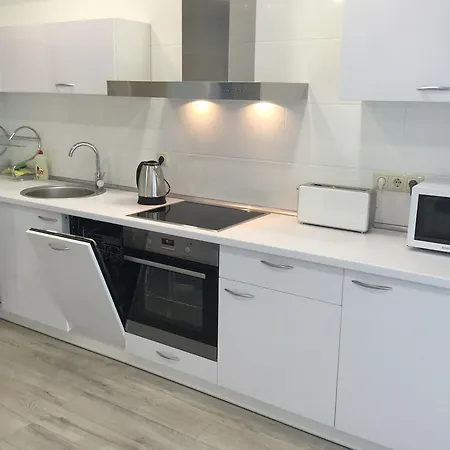 Daire Apartamentai Fortuna Kaunas